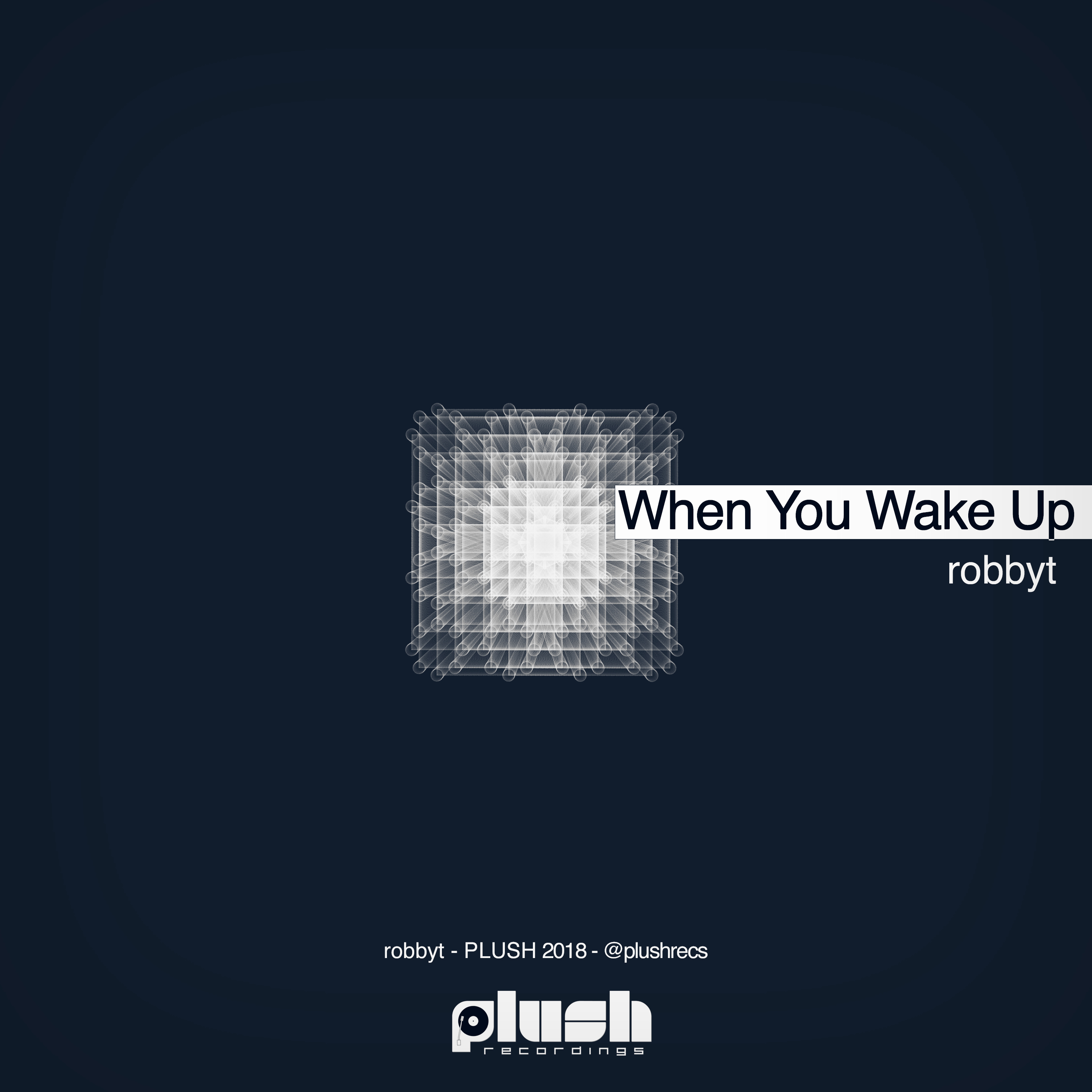 robbyt - When You Wake Up [PLUSH112] cover art